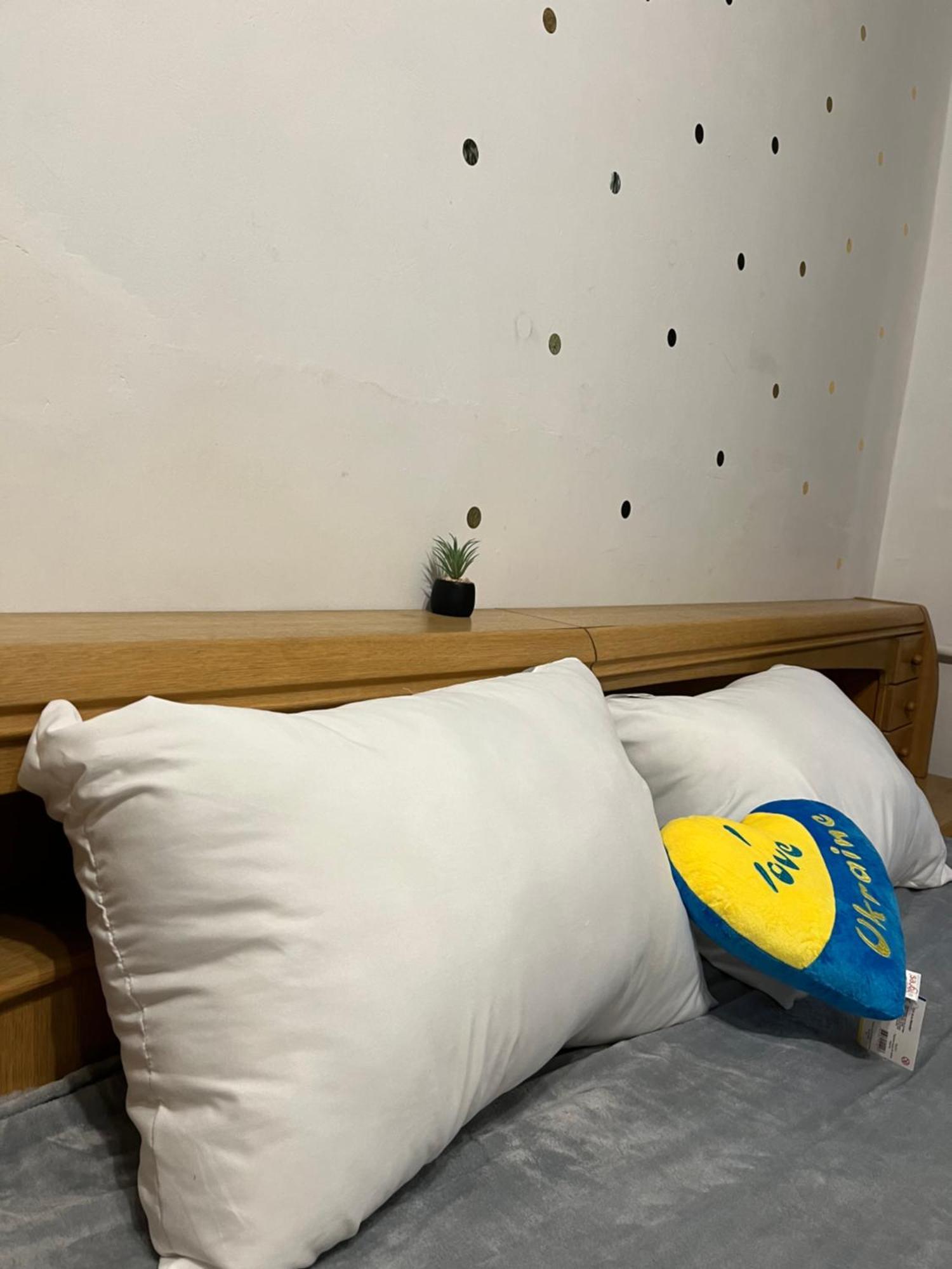 Ararat-Klovskaya Hostel-Apartments Kiev Kültér fotó